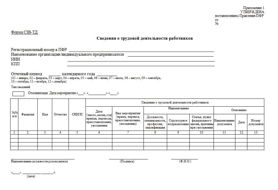 Сэв тд новый отчет в пфр образец